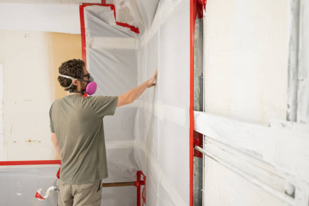Best Mold Odor Removal Services  in Mountainside, NJ