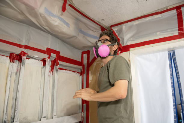 Best Basement Mold Removal  in Mountainside, NJ