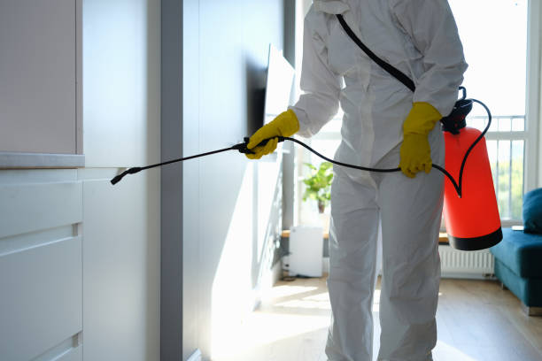 Best Emergency Mold Remediation  in Mountainside, NJ