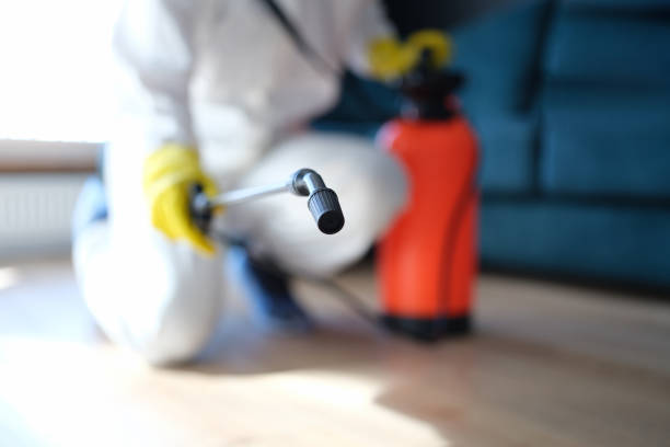 Best Mold Documentation for Insurance Claims  in Mountainside, NJ