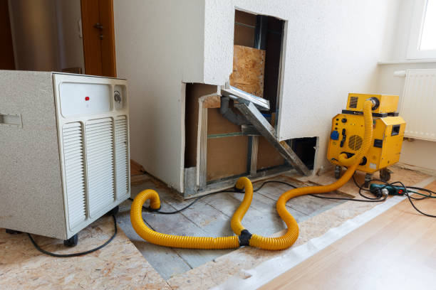 Best Environmental Consulting for Mold Prevention  in Mountainside, NJ