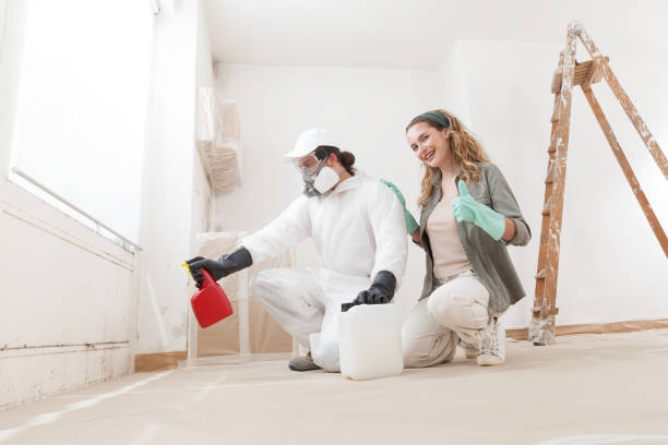 Best Dehumidification Services  in Mountainside, NJ