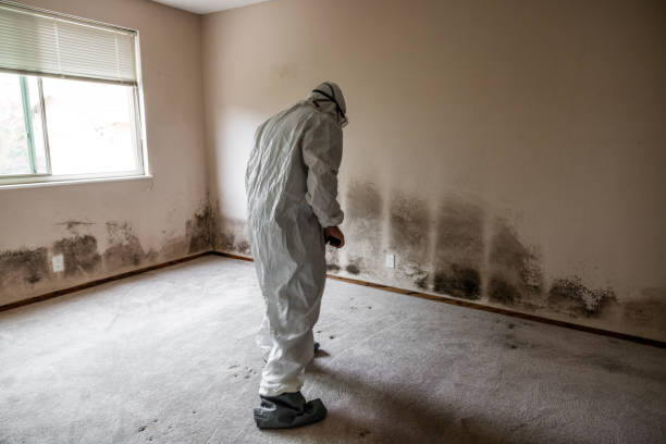 Best Residential Mold Inspection & Testing  in Mountainside, NJ