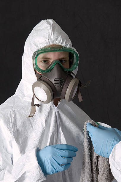 Best Post-Construction Mold Inspection  in Mountainside, NJ